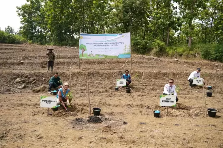 PLN EPI-Kementan Awal Rencana Sistem Pertanian Terpadu Tanaman Daya pada Brebes