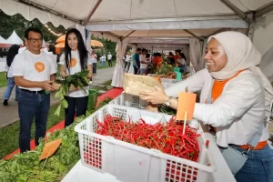 Aplikasi komputer hi by hibank Resmi Meluncur, Solusi Digitalisasi UMKM di Satu Genggaman