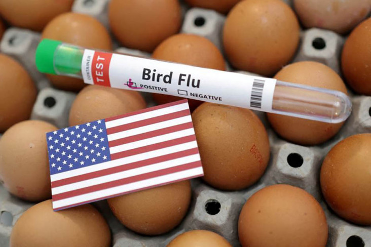 Flu Burung Merebak dalam tempat AS, Turki Bantu Ekspor 15.000 Ton Telur