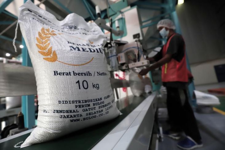 Serap 3 Juta Ton Beras hingga April 2025, Bulog Kantongi Anggaran Rp16 Billion