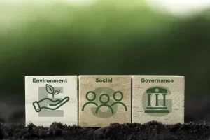 Faktor Utama Resilience kemudian Daya Saing, Ini adalah 5 Aspek Penting Sustainable Business Strategy