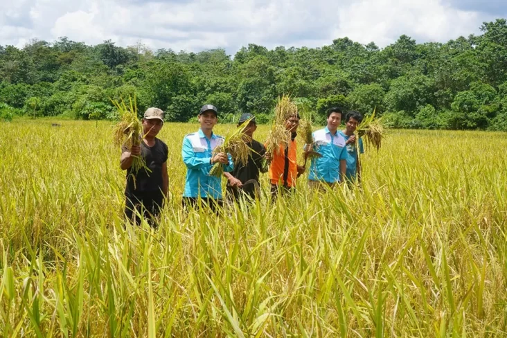 Berkat Pendampingan, Panen Padi Grup Harapan Bersama Capai 38,5 Ton