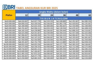 Tabel KUR BRI November 2025: Pinjaman Mulai Rp1 Juta, Bunga dan Cicilan Terbaru