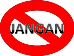 Jangan Salah! 8 Tanaman Berbahaya yang Harus Dihindari di Rumah