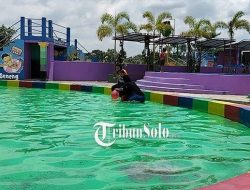 Asal-usul Nama Kelurahan Pluneng di Kebonarum Klaten dengan Dua Umbul Bersejarah dan Mitos