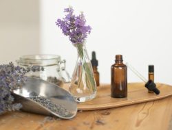 7 Pilihan Aromaterapi Ruang Tamu, Coba Aroma Jasmine