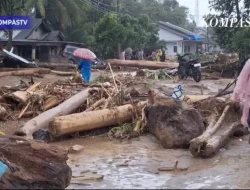 Greenpeace-Walhi: Banjir Sumatra Bukan Anomali, Tapi Kegagalan Kelola SDA