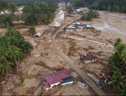 Greenpeace Ungkap Kebun Sawit di Batang Toru, Tantang Pengawasan Pemerintah
