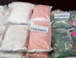 Fentanyl, Narkoba yang Ditetapkan Trump sebagai Senjata Pemusnah Massal