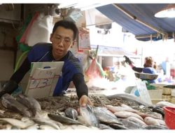 Apakah Gelar Sia-Sia? Dari Sarjana ke Penjual Ikan, Live Streamer, dan Mekanik