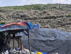 Gunungan Sampah Bantargebang Berubah Hijau, Tanda Baik atau Krisis Pengelolaan?