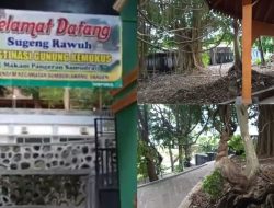 Misteri Pesugihan Gunung Bolo: Benarkah Tanpa Tumbal?