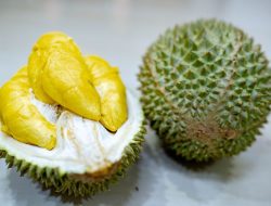 Dulu Kaya Emas, Kota Malaysia Kini Raup Rp 118,3 T dari Durian China
