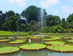 10 Destinasi Alam Bogor untuk Tahun Baru 2026, Ideal untuk Liburan dan Kebangkitan Pikiran