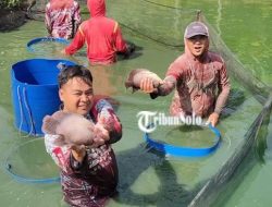 Berkah Nataru 2026, Ekonomi Solo Raya Bangkit dari Villa hingga Petani Ikan