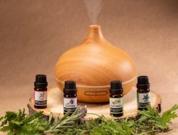 5 Aroma Unik yang Hanya Ada di Rumah Kaya, Ingin Tahu? Ini Jawabannya!