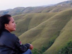 Wisata NTT: Jelajah 7 Bukit Ekstrik Sumba, Negeri Seribu Bukit yang Menakjubkan