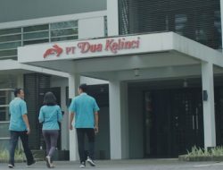 4 Pekerjaan Terbaru Awal Februari 2026, Mulai dari PT Dua Kelinci hingga Bank BNI