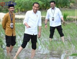 Tantangan MBG Selama Puasa, Anggaran Disarankan untuk Subsidi Pangan dan Infrastruktur Mudik