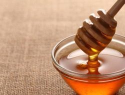 Polemik Eugenol: Obat Mujarab atau Bahaya Tersembunyi?