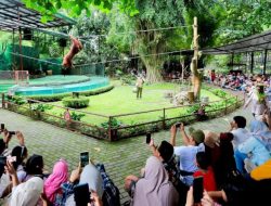 Bukber dengan Satwa, Itinerary Ngabuburit di Gembira Loka Mulai Rp75 Ribu