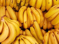 5 Buah Terbaik untuk Sahur, Kenyang Lebih Lama dan Kuat Berpuasa!