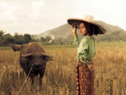 Krisis Regenerasi Petani: De-Agrarisasi dan Ancaman Kedaulatan Pangan