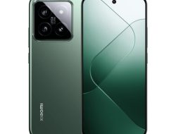 HP layar lengkung terbaik untuk Lebaran 2026, mulai 2,3 juta!