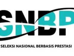 Pengumuman Hasil SNBP 2026, Langkah Setelah Lulus?