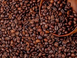 Strategi Pemilik Kafe Luwu Hadapi Kenaikan Harga Cangkir Plastik