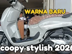 Bocoran Langka! Scoopy Stylish Grey 2026 Jadi Motor Paling Diminati!