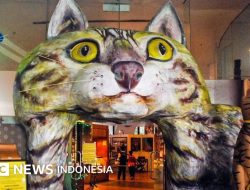 WNA Inggris Babak Belur Bawa Pisau di Shelter Kucing Tangsel, Sudah Overstay Sejak 2025