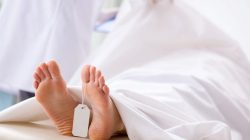 Fakta Siswa SMP Riau Tewas Akibat Senapan Rakitan