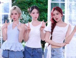 VIVIZ Pecat BPM Gara-Gara Tidak Bayar Royalti