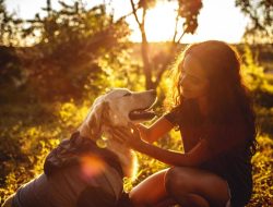 Cara Anjing Bantu Membantu Anak Autis Emosional