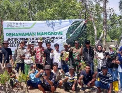 45.000 hektar mangrove hilang, pesisir Inhil semakin rentan