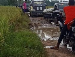 Infrastruktur minim, petani Bone berjuang angkut hasil panen
